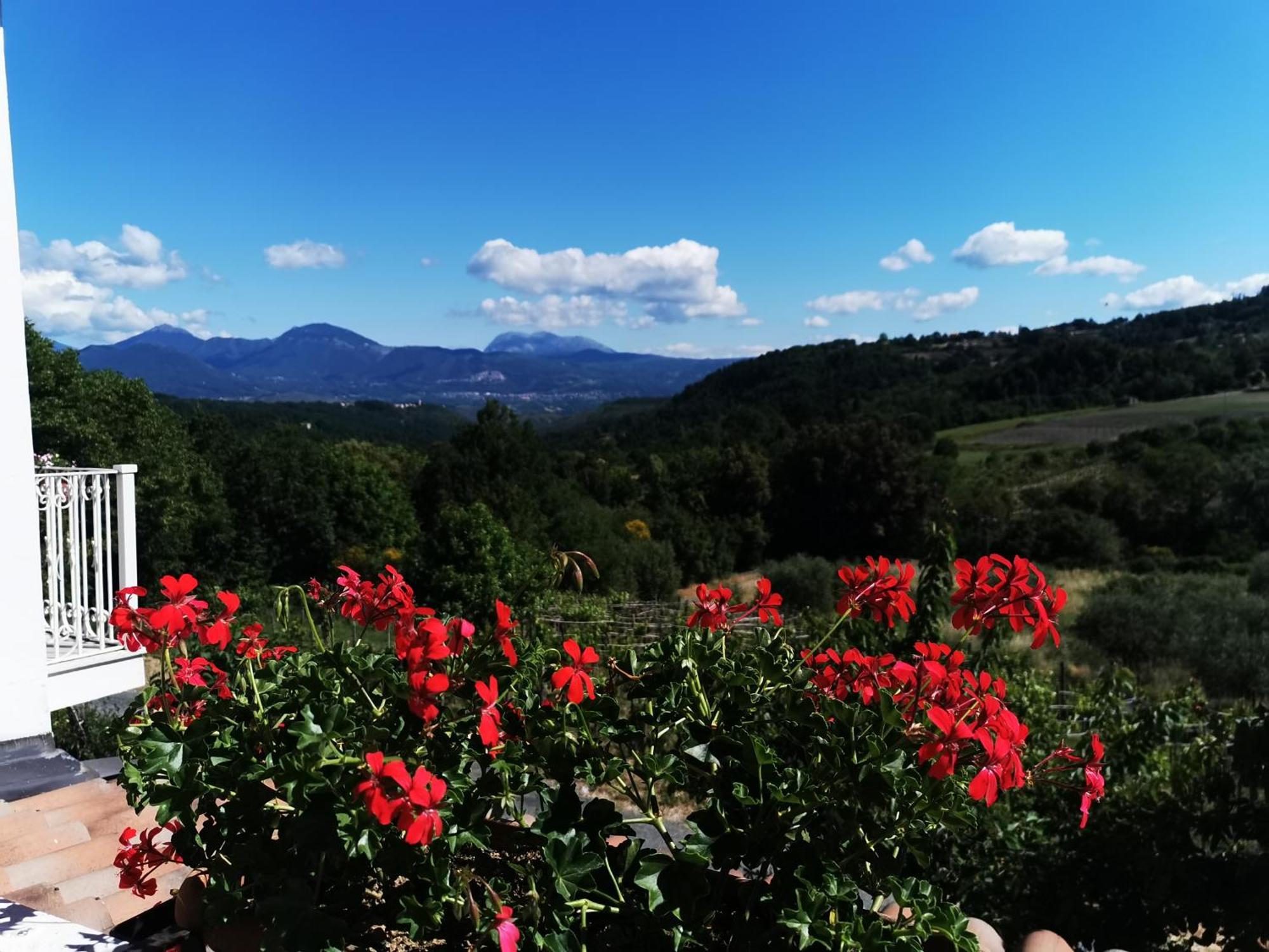 Agriturismo Donna Bianca Mormanno Exteriör bild