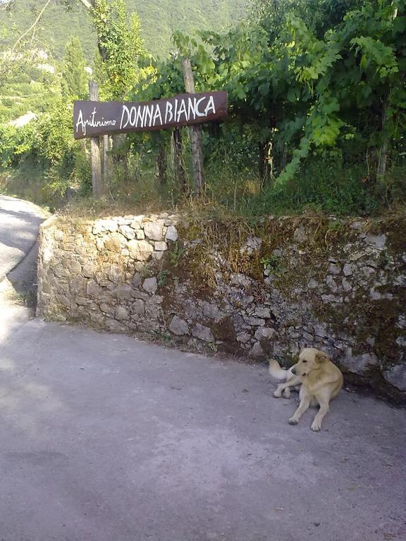 Agriturismo Donna Bianca Mormanno Exteriör bild